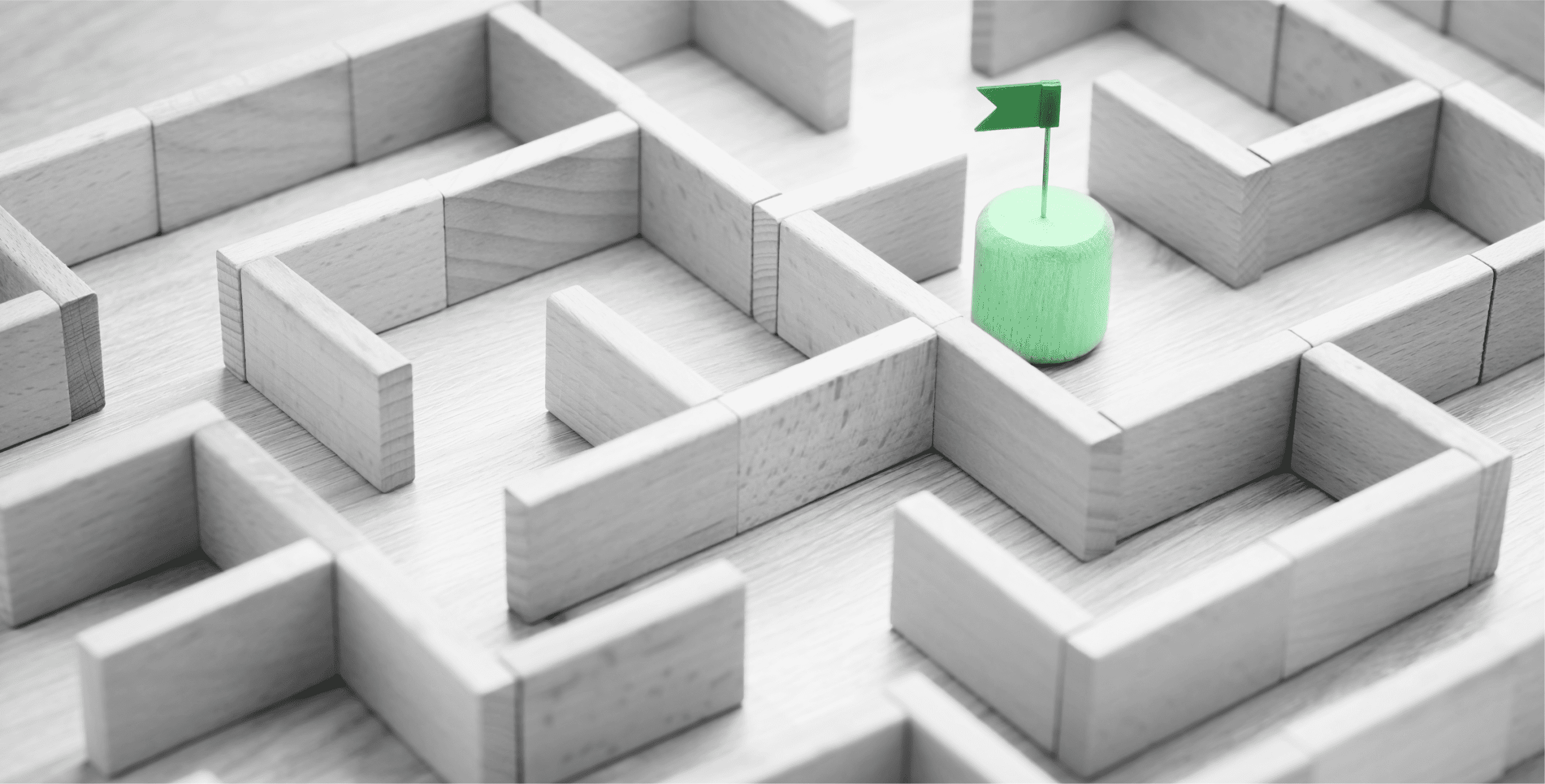 Discovering Leo Wus Hidden Talents A Journey Of Unexpected Success - tzfta4s